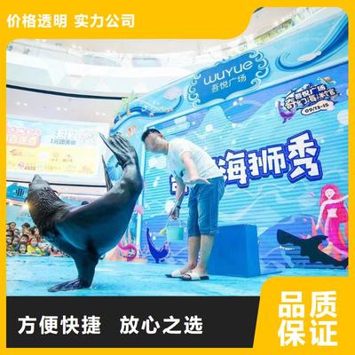 南安市分公司 專業出租表演鸚鵡，打造難忘動物展覽體驗